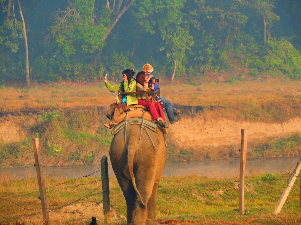 Tourists capturing pictures on elephant ride at Chitwan National Park